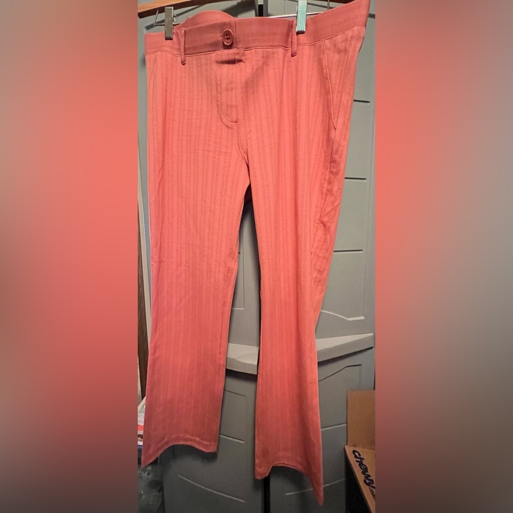 Betabrand pants-great color